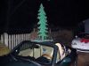IMG 1021